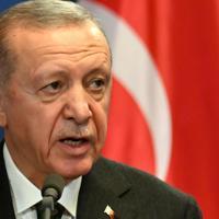 Erdoğan to ‘urge Putin for key grain deal's revival’ - Hurriyet Daily News