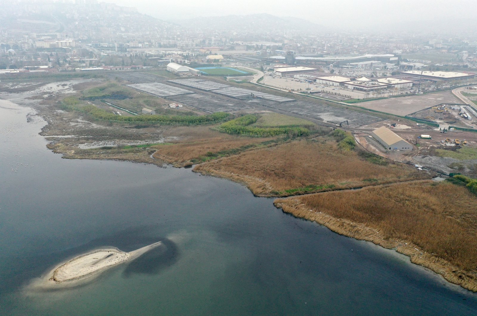 Cleaning efforts in Türkiye's gulf of Izmit show progress | Daily Sabah - Daily Sabah