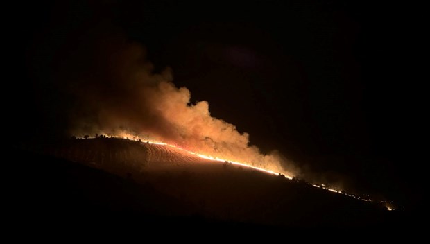 Diyarbakır ve Mardin arasında anız yangını: 5 can kaybı var, 10'u ağır 44 kişi tedavi altında - NTV