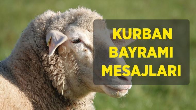 KURBAN HABERLERİ >> BAYRAM MESAJLARI 2024: En güzel, farklı, yeni, çiçekli, anlamlı, kurumsal Kurban Bayramı tebrikleri bayram mesajları/sözleri